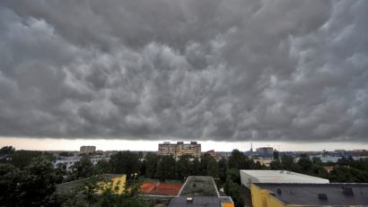 Cod galben de vijelie în Ialomița