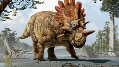 ȘTIINȚĂ. Paleontologii l-au „găsit” pe HELLBOY