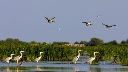 DANUBEPARKS – cîștigătoare a Premiului Natura 2000 pentru anul 2015
