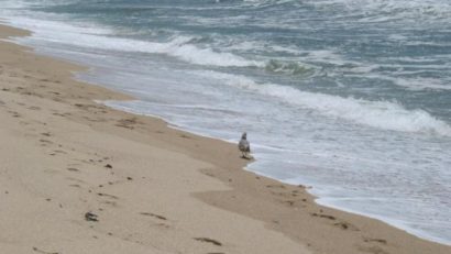 Meteo duminică: Maxime de până la 27 de grade dar şi şanse ploaie