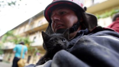 Intervenție ISU: Curiozitatea era să omoare pisica