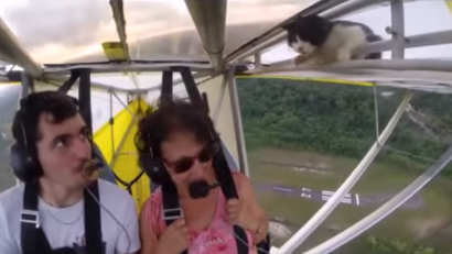 VIDEO: Cum a ajuns o piscă să zboare