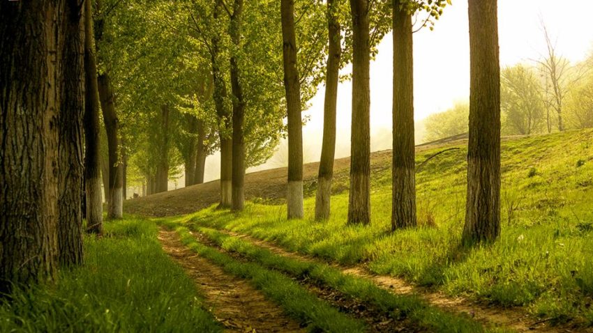 Un proiect de artă fotografică – „Zebil de Dobrogea”