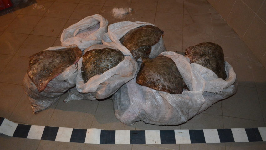 Poliţia de Fronteră: 120 de kilograme de calcan capturate