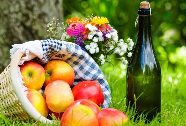 HOROSCOP 19 iulie 2015