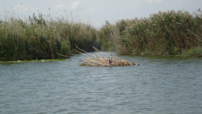 Dunărea este în scădere. Ce efecte ar putea avea scăderea cotelor fluviului