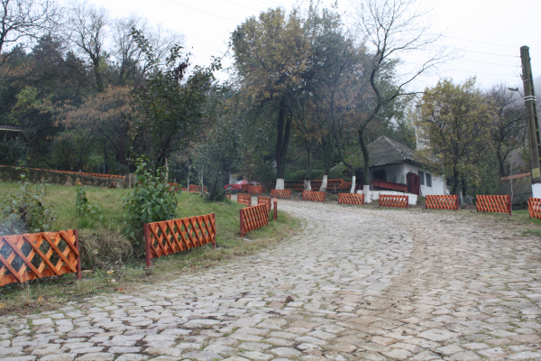 O singură tabără de stat mai funcţionează în Delta Dunării