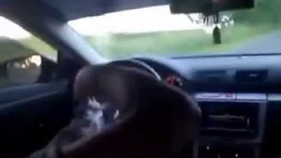 Beat şi drogat, la volan, în Constanţa
