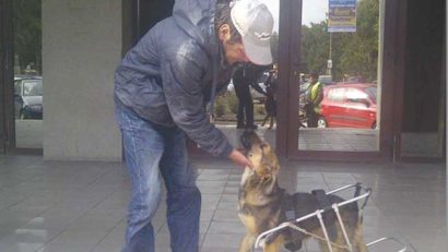 Baricada Verde – Protest pentru câinele Bursuc
