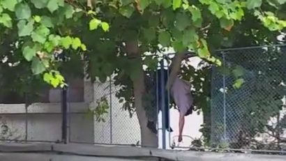 (UPDATE) Victima este Stelian Fronescu, consilier județean PSD! Bărbat căzut de pe un bloc, în Constanța