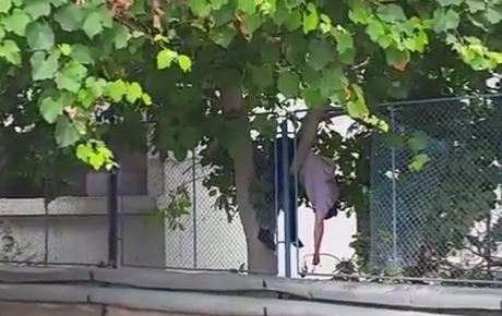 (UPDATE) Victima este Stelian Fronescu, consilier județean PSD! Bărbat căzut de pe un bloc, în Constanța