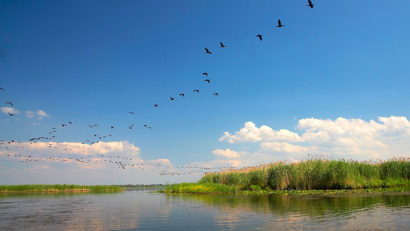 O nouă aplicaţie vine în ajutorul turiştilor care ajung în Deltă