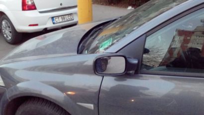 VIDEO: „Bizoni” în trafic, în Constanţa