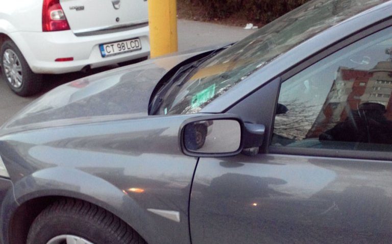 VIDEO: „Bizoni” în trafic, în Constanţa