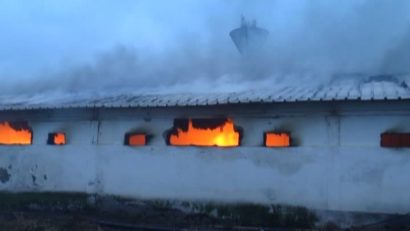 Personalul, EVACUAT. Incendiu la Abatorul din Cumpăna