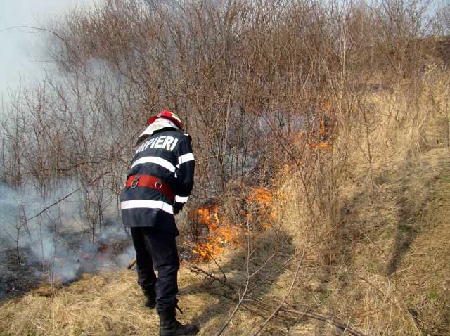 Panică în nordul staţiunii Mamaia