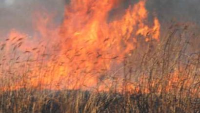 Dobrogea, sub zodia incendiilor!