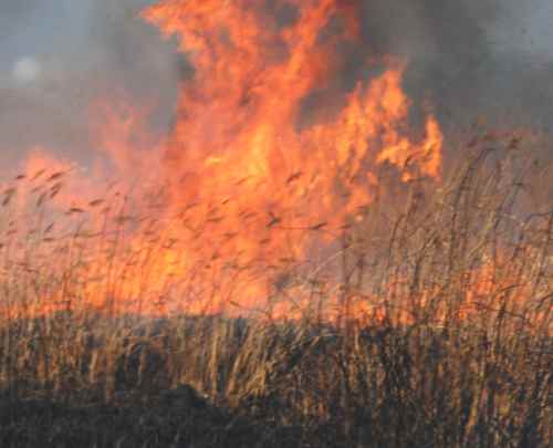 Dobrogea, sub zodia incendiilor!