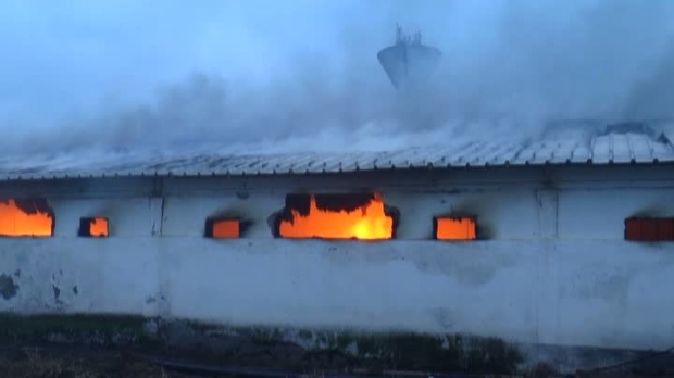 Personalul, EVACUAT. Incendiu la Abatorul din Cumpăna