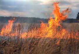 Incendiu la Eforie