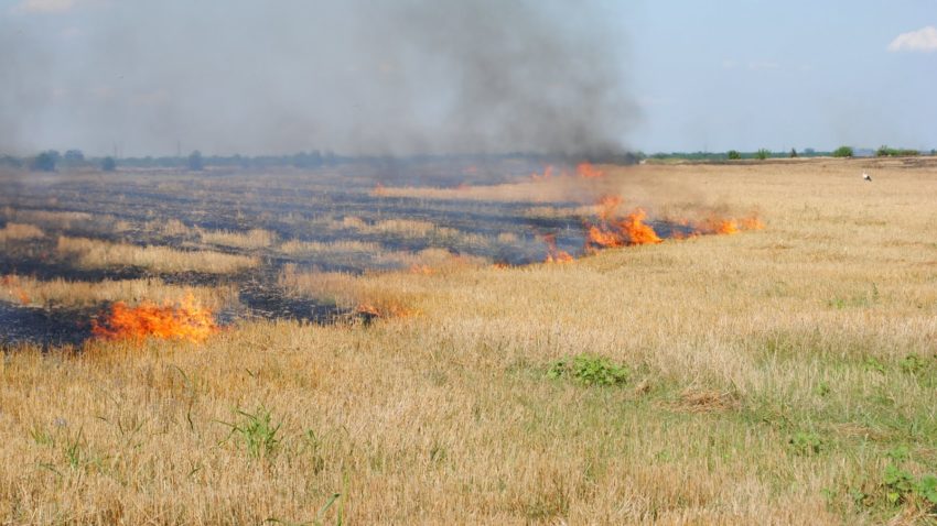 Foc pus intenționat pe o miriște din Modelu, Călărași