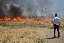 Arde miriştea de langă Movila Verde