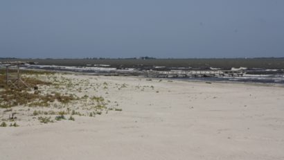 Plaja de la Sulina ar putea deveni şi mai sălbatică