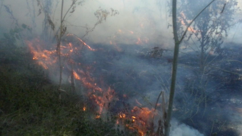Arde faleza plajei Trei Papuci