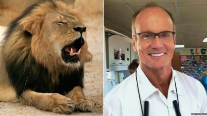 Informaţie neconfirmată: fratele leului Cecil, Jericho, ucis şi el de braconieri