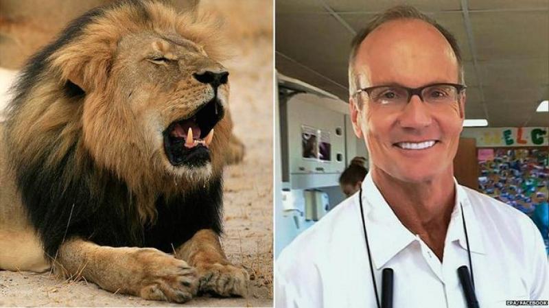 Informaţie neconfirmată: fratele leului Cecil, Jericho, ucis şi el de braconieri