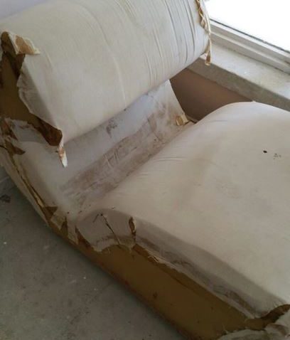 FOTO: Bine aţi venit la Amfiteatru şi Belvedere! Din partea casei – mizerie, mobilier rupt şi îmbrânceli