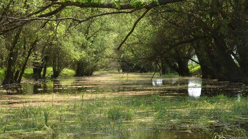 Bani suplimentari de la buget pentru combaterea secetei în Delta Dunării
