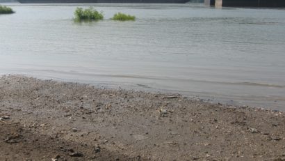 Situaţie alarmantă în Delta Dunării! Toate canalele din ar putea deveni impracticabile