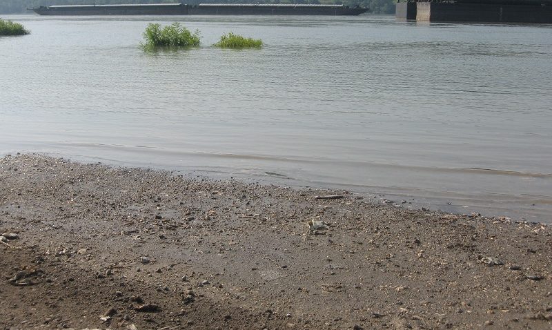 Situaţie alarmantă în Delta Dunării! Toate canalele din ar putea deveni impracticabile