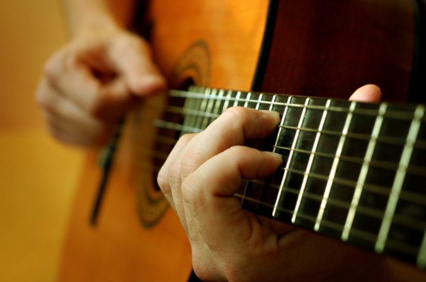 Nicu Alifantis şi Pasărea Rock, la Folk You! Florian Pittiş