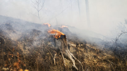 Riscul incendiilor de pădure este „extrem de crescut“, avertizează ministrul Mediului