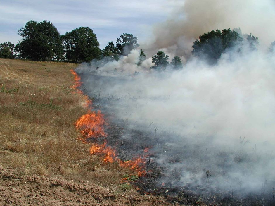 Încă un incendiu în Dobrogea