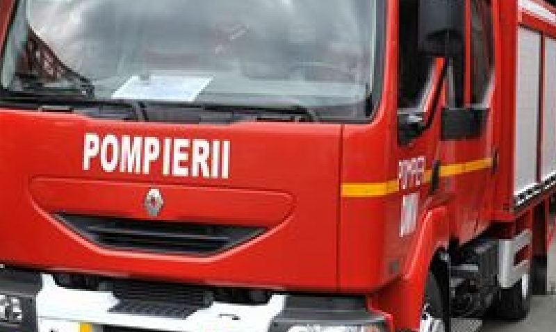 Incendiu în nordul stațiunii Mamaia
