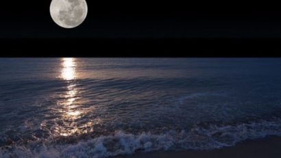 Nopţi tropicale la mal de mare