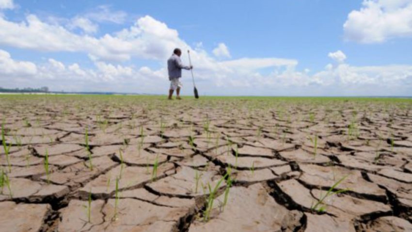 Efectele secetei, discutate în Comisia de Agricultură a Camerei Deputaţilor