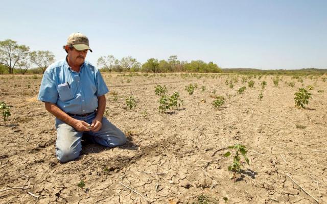Seceta ar putea scumpi produsele româneşti