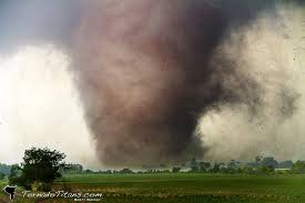 Tornadă la Florenţa. 20 de răniţi în urma furtunii violente