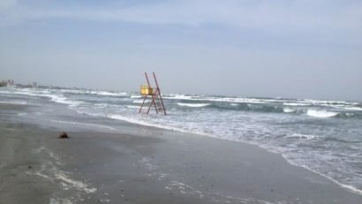 Cod galben de vânt în Dobrogea