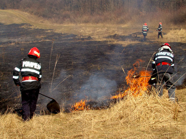 Incendiile de vegetație uscată dau de lucru pompierilor