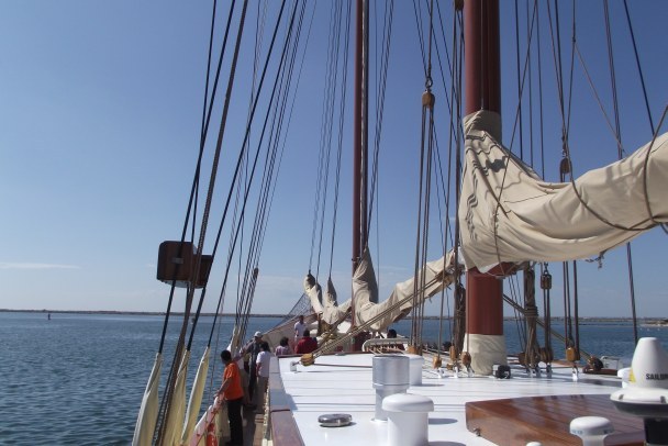 Copiii din centrele de plasament constănţene au fost trimişi pe mare