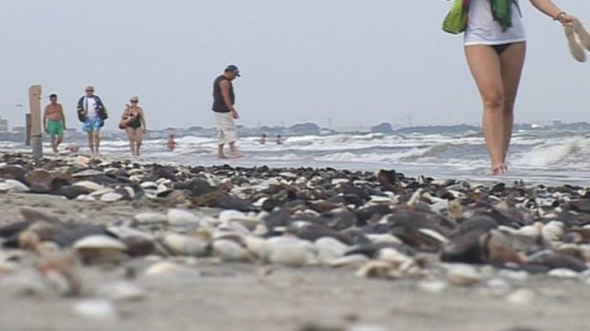 Canicula ia astăzi o pauză în Dobrogea