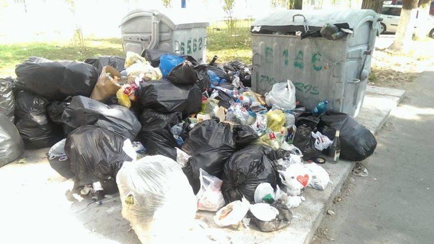 (FOTO) „Invazie” de gunoaie în Mamaia