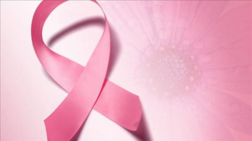 Pink Day la Constanţa: Marş de solidaritate în Piaţa Ovidiu