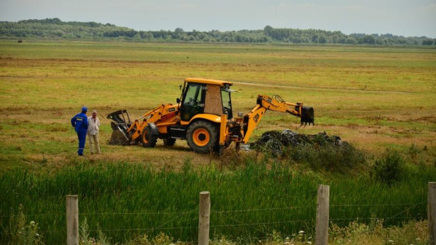 Lucrări de reconstrucție ecologică la Carasuhat – Mahmudia