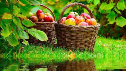 HOROSCOP 6 septembrie 2015